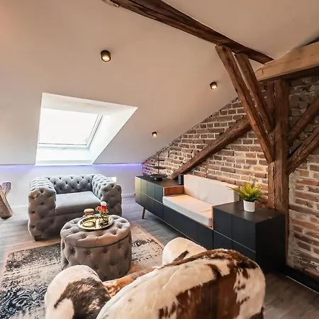 Apartment Crest - Riverside Lofts Mit Parken I Balkon I Kueche I Regendusche Passau