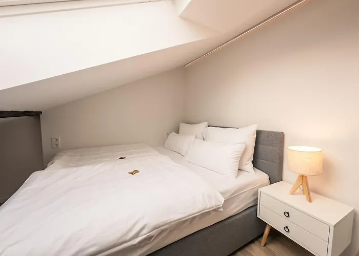 Crest - Riverside Lofts Mit Parken I Balkon I Kueche I Regendusche Passau